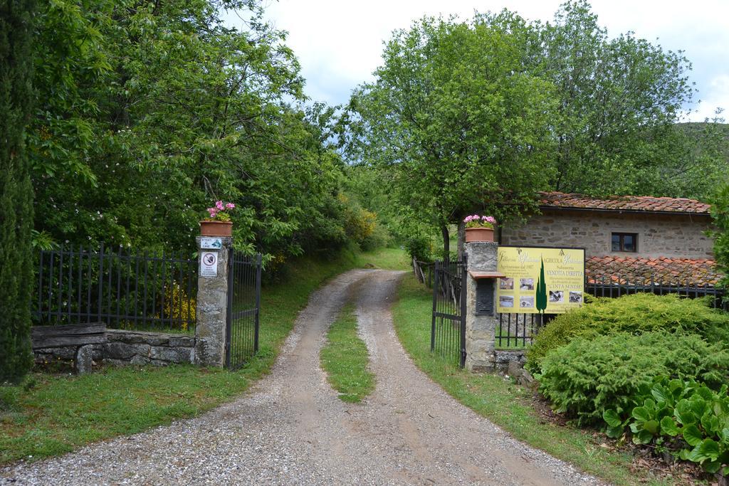 Villa Fattoria Il Praticino Castelfranco di Sopra Exterior foto